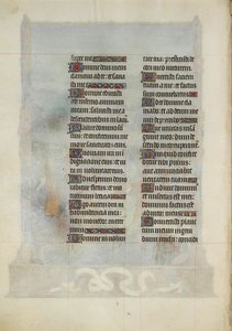 Très Riches Heures du duc de Berry - Limbourg Brothers
